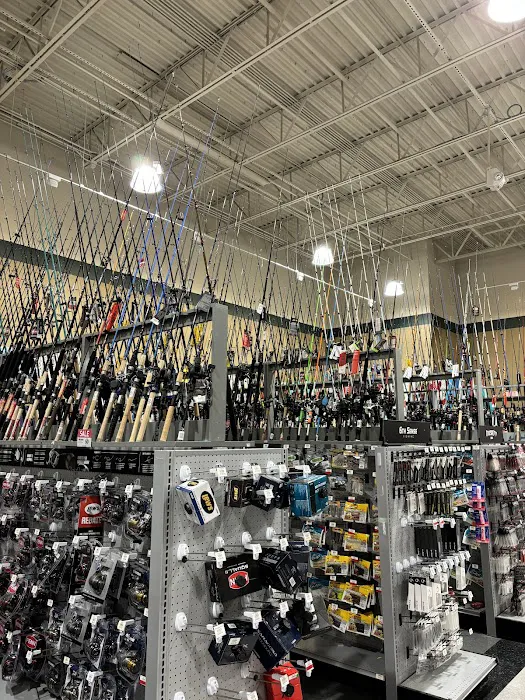 DICK'S Sporting Goods Picture 5