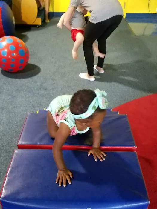 My Gym Wellington Picture 1