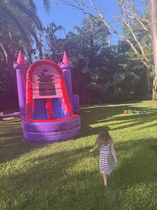 Jupiter Bounce Picture 4