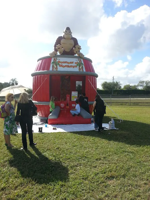 Wow Bounce Picture 2