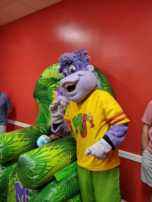 Monkey Joe's - Coral Springs Picture 9