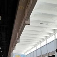 Fleischman Park ico