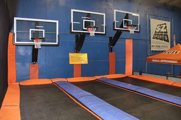 Sky Zone Trampoline Park Picture 7