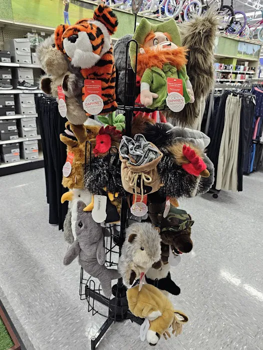 Academy Sports + Outdoors Picture 8