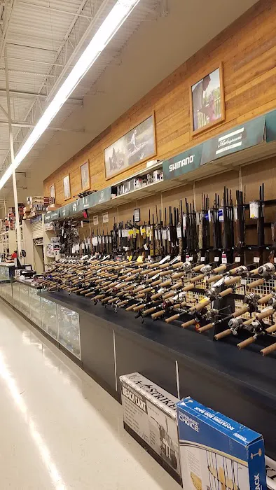 Academy Sports + Outdoors Picture 2