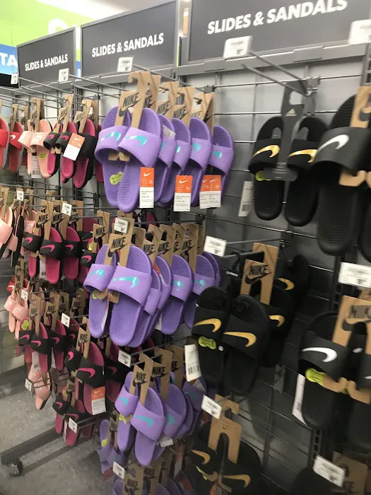 Academy Sports + Outdoors Picture 5