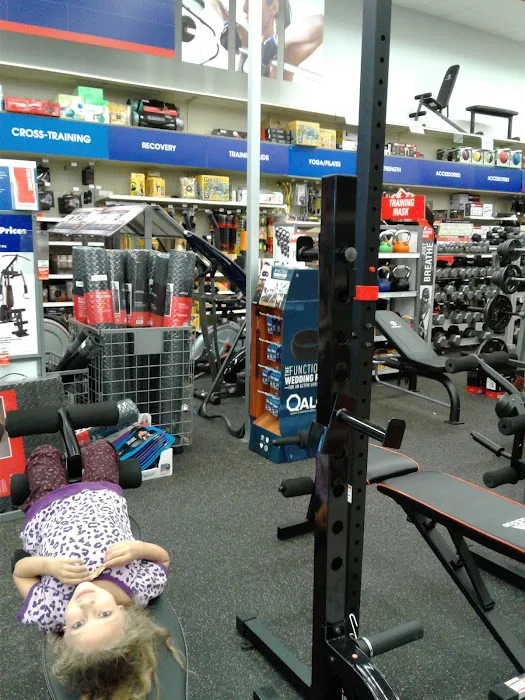 Academy Sports + Outdoors Picture 10