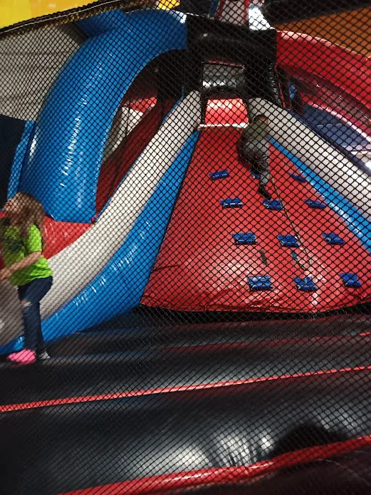 Bouncin' Bears Texas Picture 5