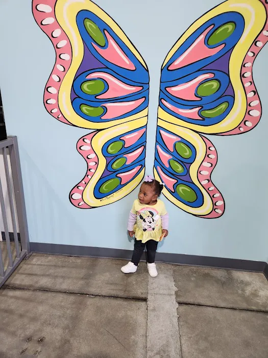 Kidtastic Park Picture 4