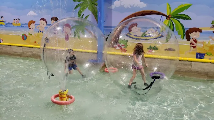 Bounce Bounce Picture 3