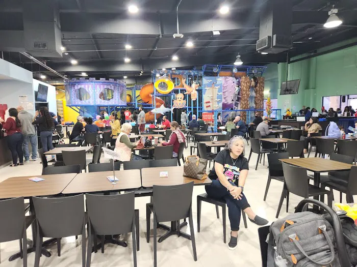Kanga's Indoor Playcenter and Cafe, Katy Picture 4