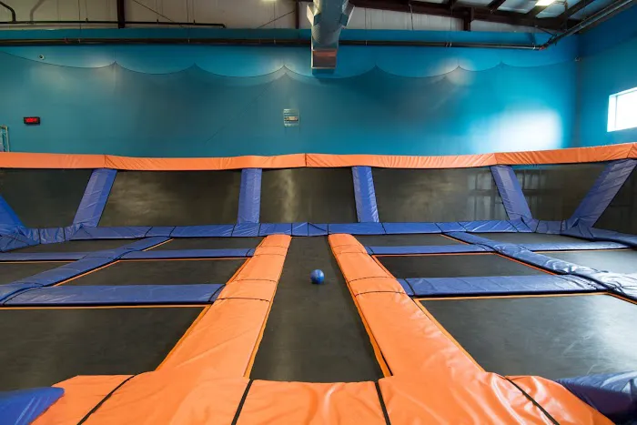Sky Zone Trampoline Park Picture 9