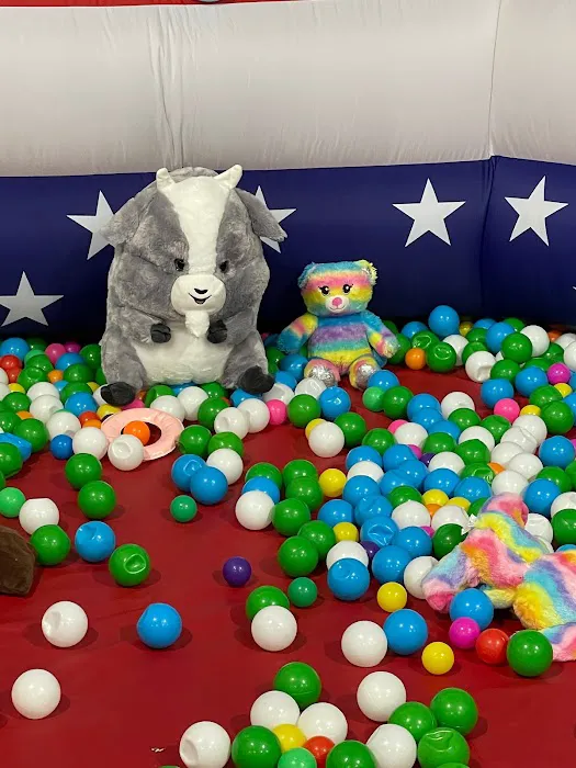 Big Bouncy Party Picture 2