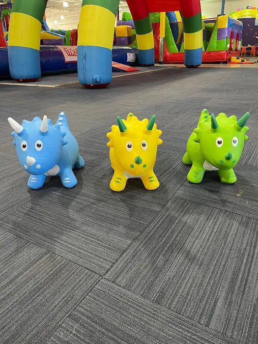 Big Bouncy Party Picture 10
