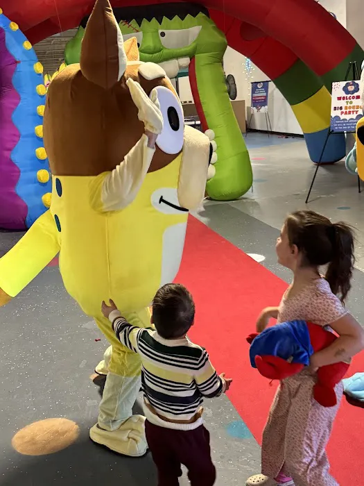 Big Bouncy Party Picture 8