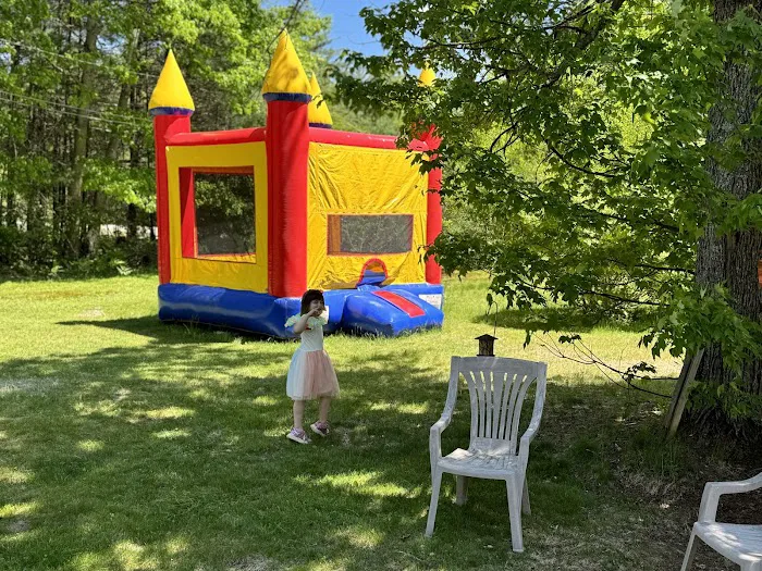 207 Bounce Picture 3