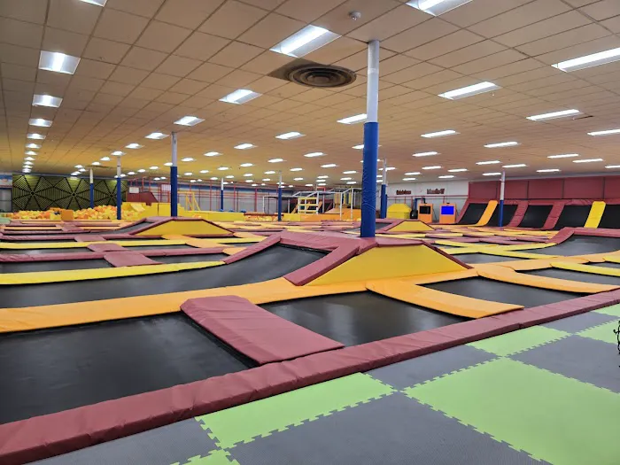 Trampoline City Picture 2