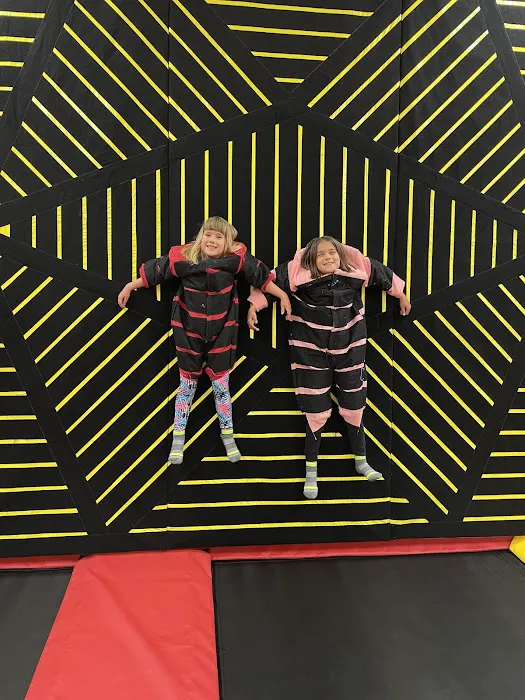 Trampoline City Picture 8