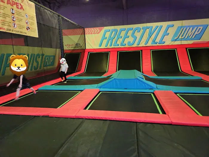 Urban Air Trampoline and Adventure Park Picture 4