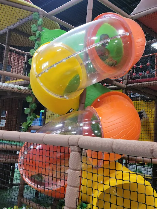 Orono Trampoline Park Picture 5