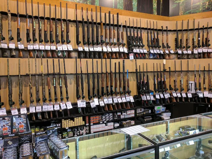 DICK'S Sporting Goods Picture 6