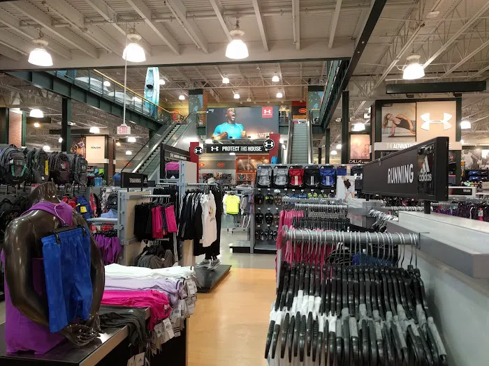 DICK'S Sporting Goods Picture 4