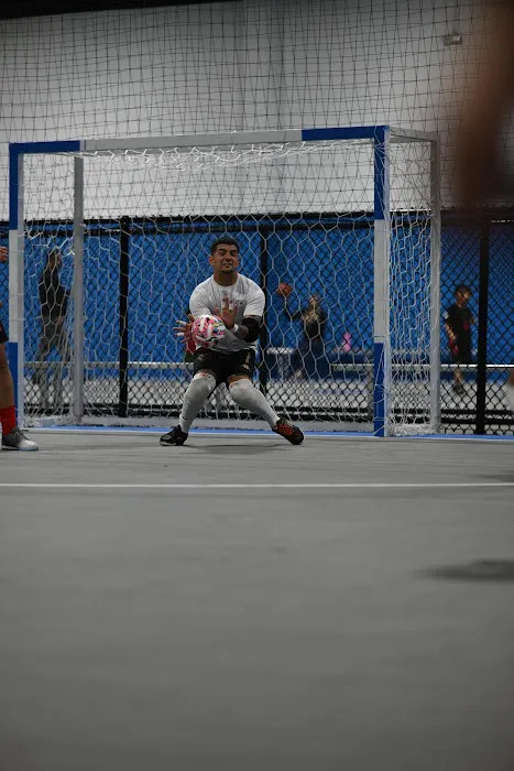 Blue Fury Sports Complex Picture 6
