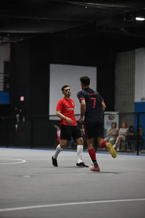 Blue Fury Sports Complex Picture 10
