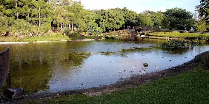 Amelia Earhart Aquatic Park Picture 3