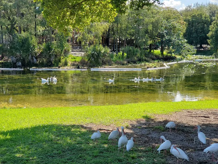 Amelia Earhart Aquatic Park Picture 6