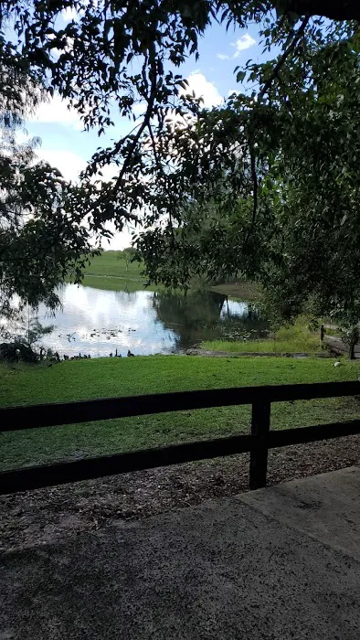 Amelia Earhart Aquatic Park Picture 9