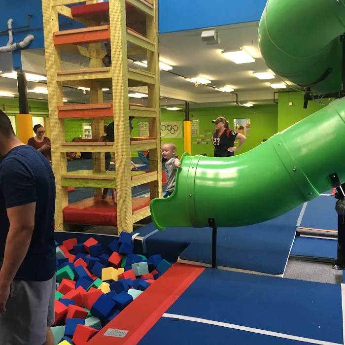 Acrosports Gymnastics - Friendswood Picture 2