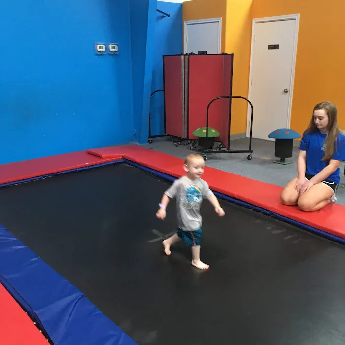 Acrosports Gymnastics - Friendswood Picture 8