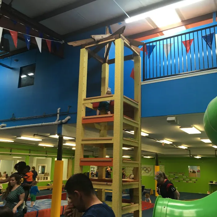 Acrosports Gymnastics - Friendswood Picture 10