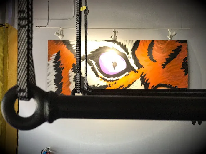 NinjAdventure Park Picture 8