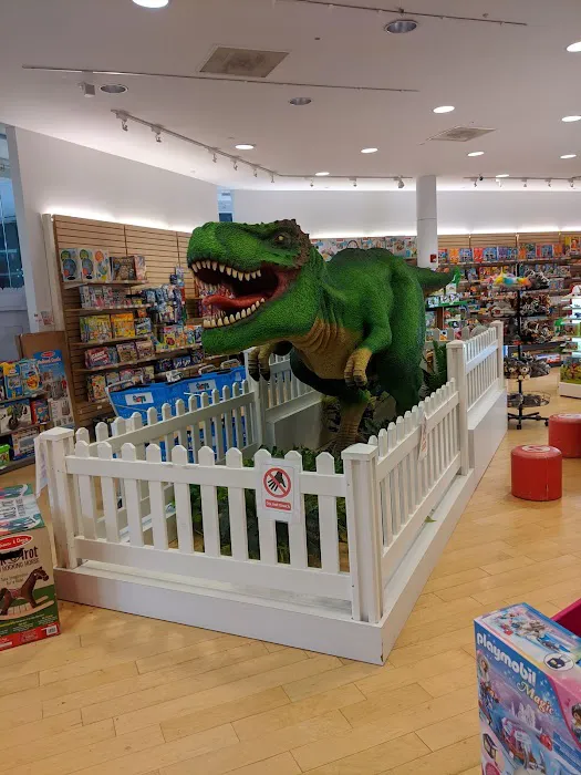 Maziply Toys Picture 9
