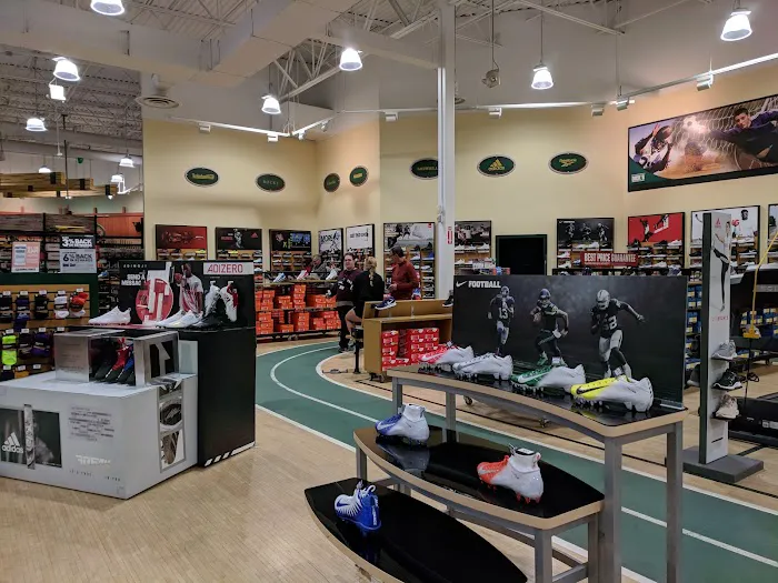DICK'S Sporting Goods Picture 2