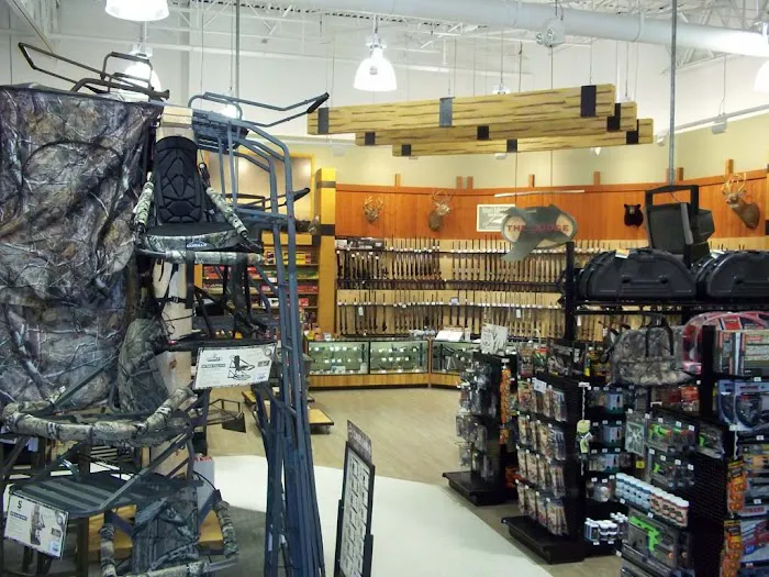 DICK'S Sporting Goods Picture 8