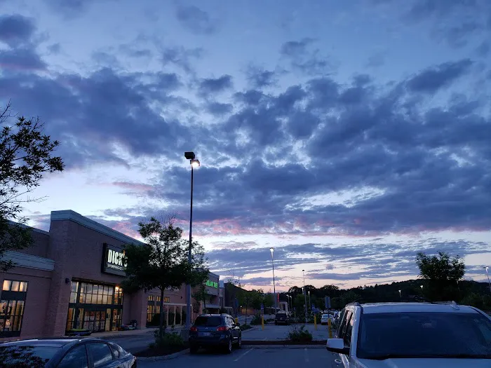 DICK'S Sporting Goods Picture 10