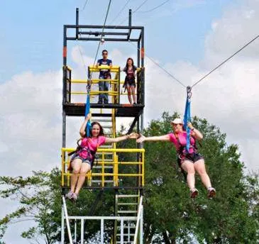 Vertical Reality Picture 7