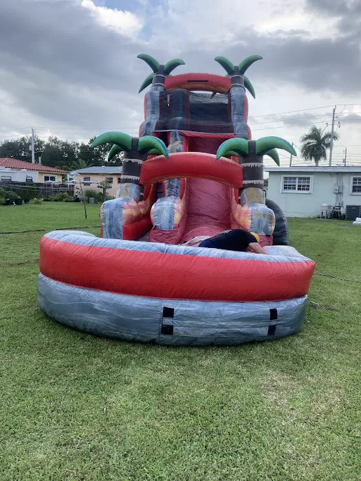 Dantes bounce house llc Picture 4