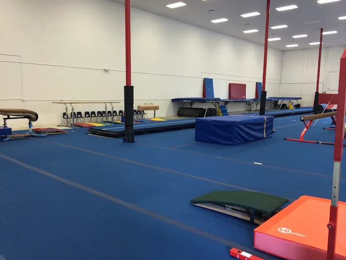Gymnastics Du Sol Picture 2