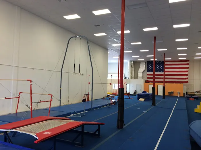 Gymnastics Du Sol Picture 1