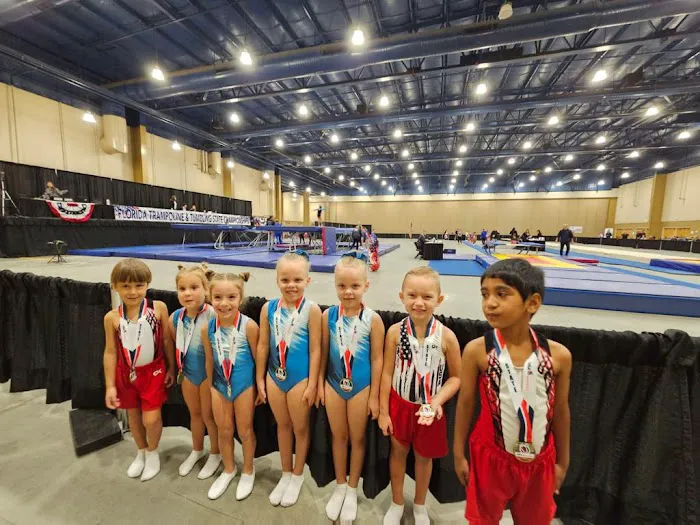 Gymnastics Du Sol Picture 3