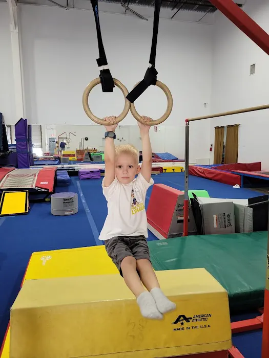 Gymnastics Du Sol Picture 6
