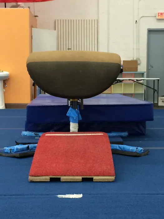 Gymnastics Du Sol Picture 7