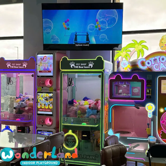 Wonderland Indoor Playground Picture 2