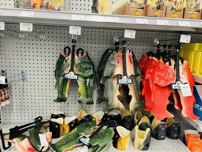 Academy Sports + Outdoors Picture 10