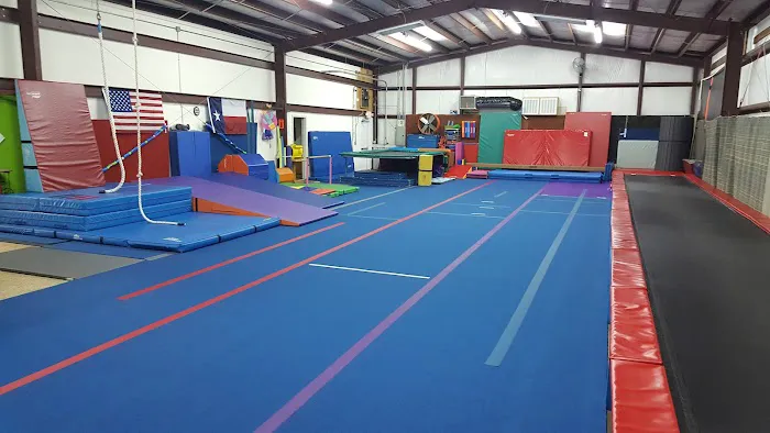 Kids Spot Trampoline-Tumbling Picture 4