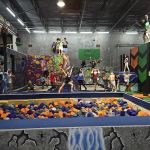 The Jungle Movement Academy